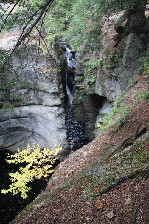 A narrow waterfall cascades between rocky cliffs, surrounded by lush greenery and autumn leaves.