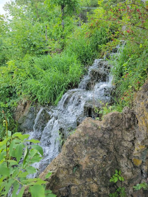A small waterfall cascades over rocky terrain, surrounded by lush green foliage and vibrant plants.