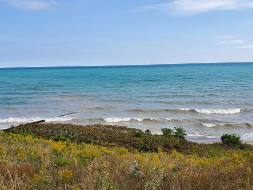 A serene view of a beach with gentle waves, lush greenery, and a clear blue sky.