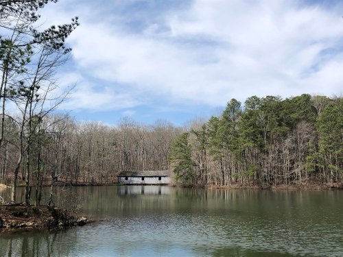 A serene lake surrounded by trees, with a covered structure visible in the distance under a blue sky with clouds.