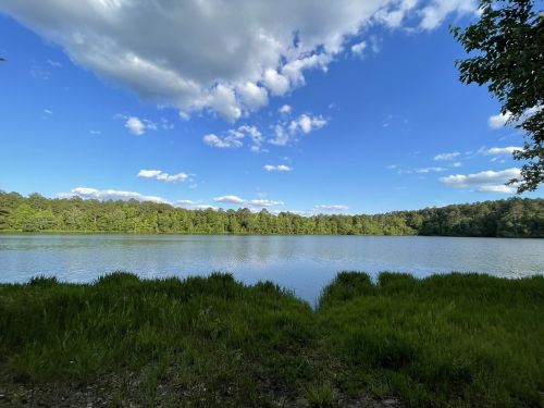 A serene lake surrounded by lush greenery under a blue sky with fluffy clouds.