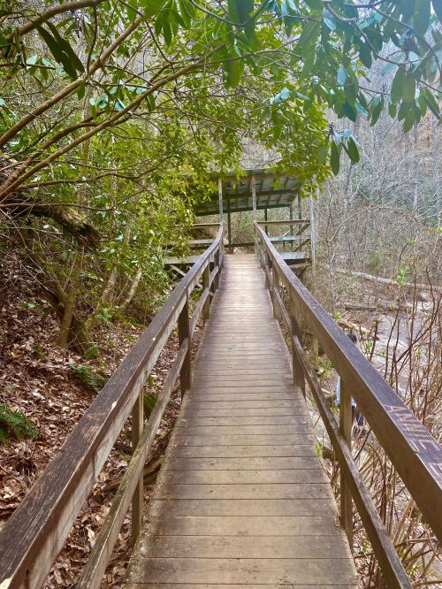 A wooden walkway leads through lush greenery towards a covered structure in a natural setting.
