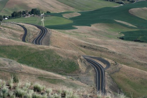 Winding road through rolling hills with green fields and sparse vegetation under a clear sky.