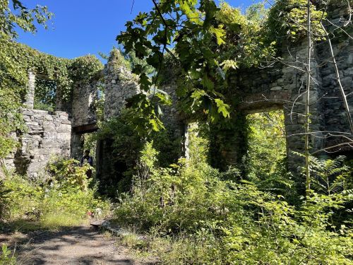 Overgrown stone ruins surrounded by lush greenery and blue sky, evoking a sense of nature reclaiming the structure.