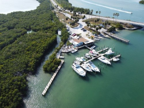 Aerial view of a marina with boats docked, surrounded by lush greenery and a road along the water's edge.