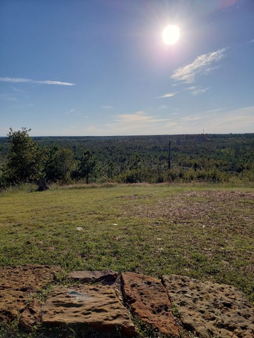 A sunny landscape view with green trees and a clear blue sky, featuring a stone foreground.