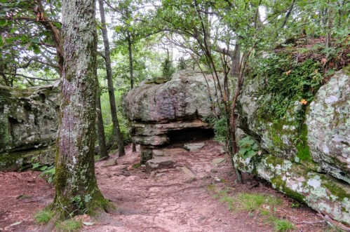 A rocky path surrounded by trees and lush greenery, leading to a large boulder in a forested area.
