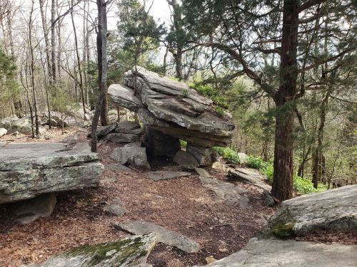 A large, flat rock balanced on smaller stones, surrounded by trees and greenery in a wooded area.
