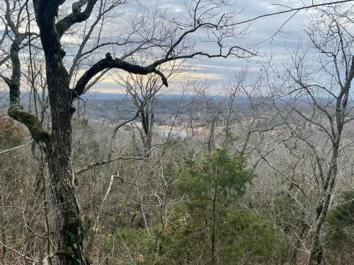 A scenic view of a landscape with bare trees, a river, and a cloudy sky in the background.
