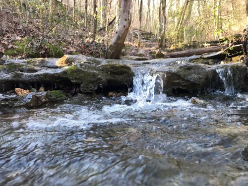 A serene stream flows over moss-covered rocks in a wooded area, surrounded by trees and sunlight.