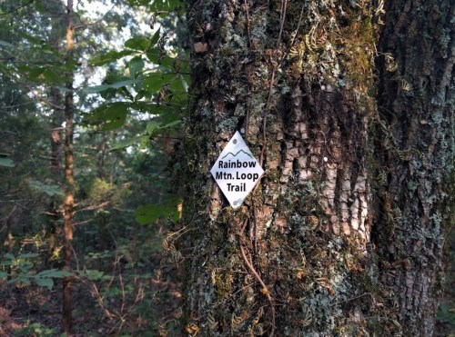 A trail sign on a tree reads "Rainbow Mtn. Loop Trail," surrounded by lush green foliage.