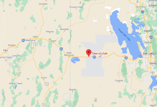 Map showing the location of the Tree of Utah near West Wendover, along Interstate 80 in Utah.