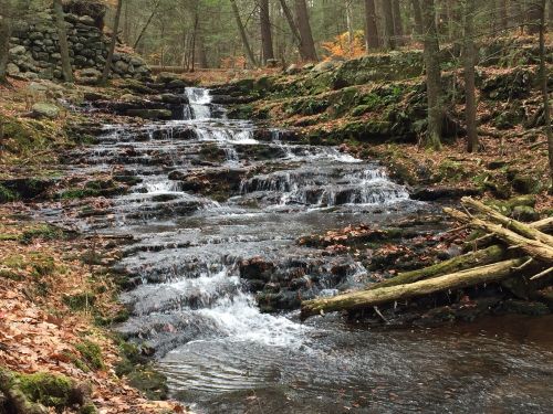 A serene stream flows over rocky terrain, surrounded by trees and autumn leaves in a peaceful forest setting.