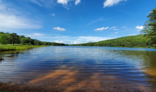 A serene lake surrounded by green trees under a bright blue sky with fluffy white clouds.