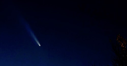 A bright white meteor leaves a trailing streak of light across the deep blue night sky above silhouetted tree branches.