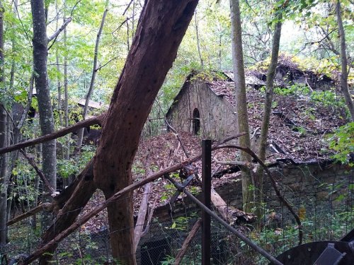 Abandoned stone building partially hidden by trees and overgrown vegetation in a forested area.