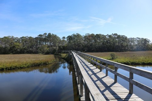 A wooden boardwalk stretches over calm water, surrounded by lush greenery and trees under a clear blue sky.