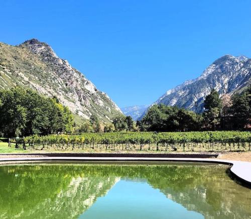 A serene landscape featuring mountains, a vineyard, and a reflective pond under a clear blue sky.