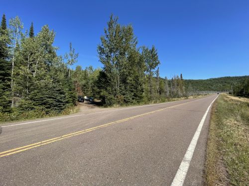 A clear road lined with trees under a blue sky, leading into a wooded area on the left.