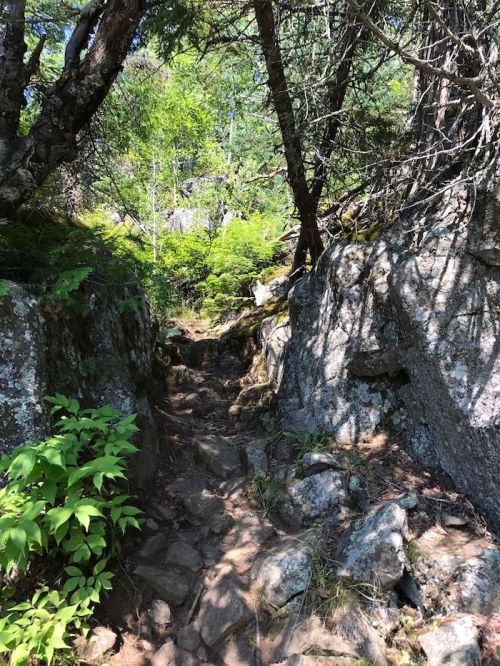 A narrow, rocky trail winds through lush greenery and trees, surrounded by large boulders.