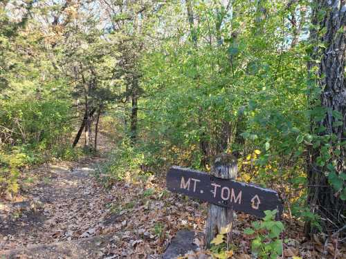 A wooden sign for Mt. Tom marks a trail surrounded by trees and fallen leaves in a wooded area.