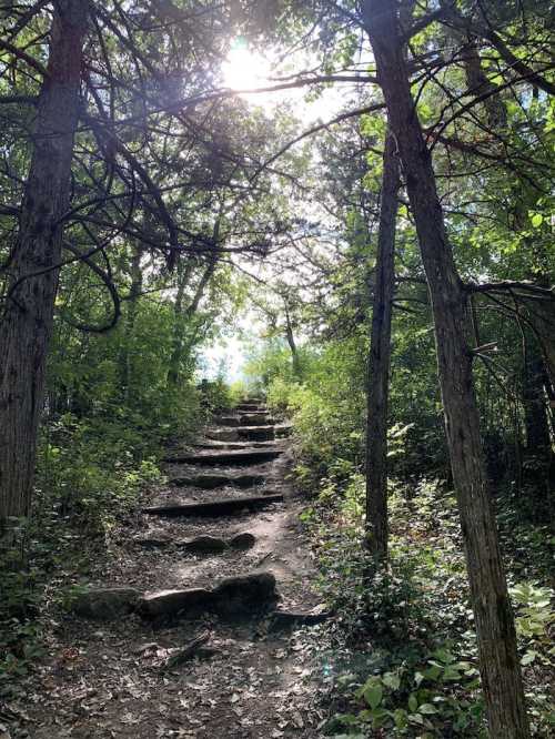 A sunlit path leads up a rocky trail surrounded by lush green trees and foliage.