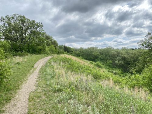 A winding dirt path through lush green grass and trees under a cloudy sky.