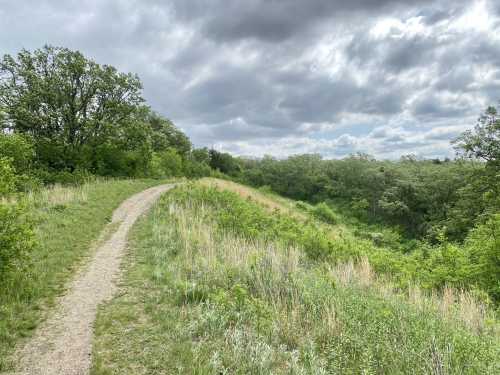 A winding dirt path through lush green grass and trees under a cloudy sky.