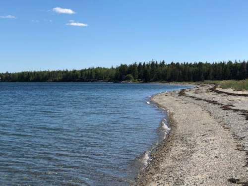 A serene beach with gentle waves, sandy shore, and lush green trees under a clear blue sky.