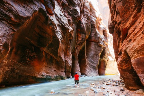 A person in a red shirt stands in a river surrounded by towering red rock canyon walls.