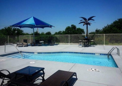 A sunny pool area with a blue umbrella, lounge chairs, and a palm tree in the background. No diving sign visible.