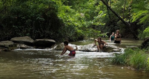 Three people play in a shallow stream surrounded by lush greenery and rocks, enjoying a sunny day outdoors.