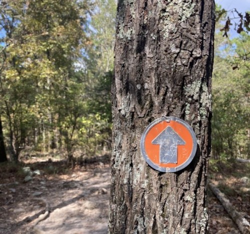 An orange arrow sign attached to a tree, indicating the direction of a hiking trail in a wooded area.