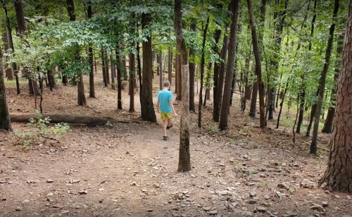 A person walks along a dirt path through a wooded area, surrounded by trees and scattered rocks.