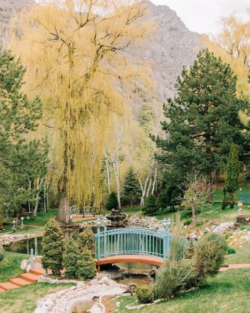 A serene garden scene featuring a blue bridge over a stream, surrounded by lush greenery and yellow trees.