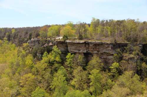 A scenic view of a rocky cliff surrounded by lush green trees under a clear blue sky.