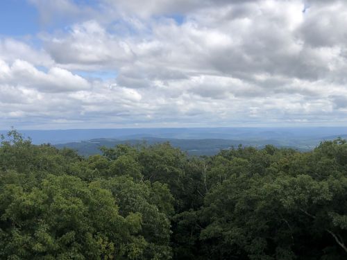 A panoramic view of rolling hills and valleys under a cloudy sky, framed by lush green trees in the foreground.