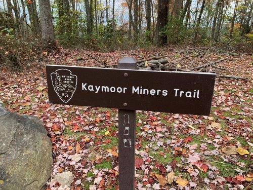 Sign for Kaymoor Miners Trail surrounded by autumn leaves and trees in a forested area.