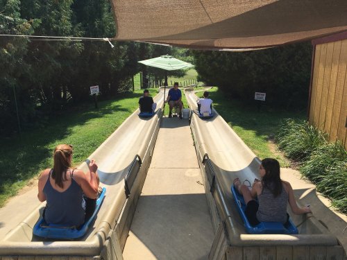 Two parallel slides with people sitting in sleds, ready to race down a sunny, green hill.