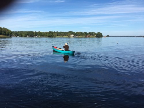 A person in a blue canoe paddles on a calm lake, surrounded by trees and a clear blue sky.