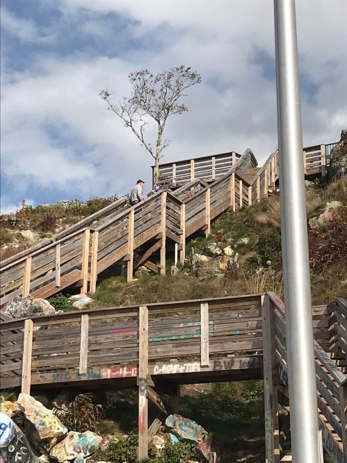A person walks up a wooden staircase surrounded by greenery and rocks under a cloudy sky.