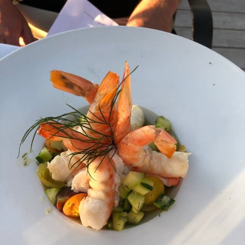 A plate of shrimp atop a colorful vegetable medley, garnished with dill.