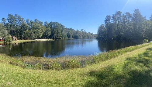 A serene lake surrounded by lush trees and grass under a clear blue sky.