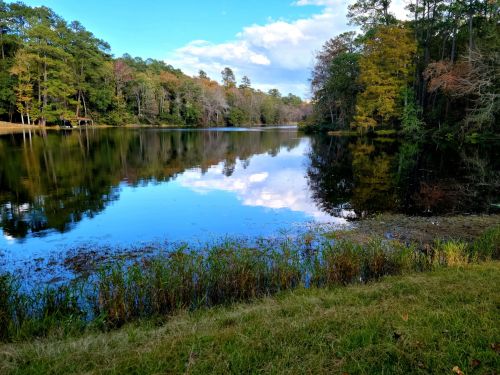 A serene lake surrounded by trees, reflecting the sky and foliage, with grassy banks in the foreground.