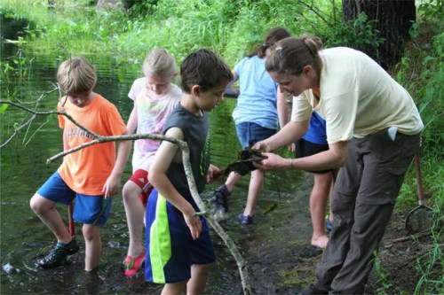 A group of children wading in a stream, exploring nature with an adult guiding them and showing something in their hands.