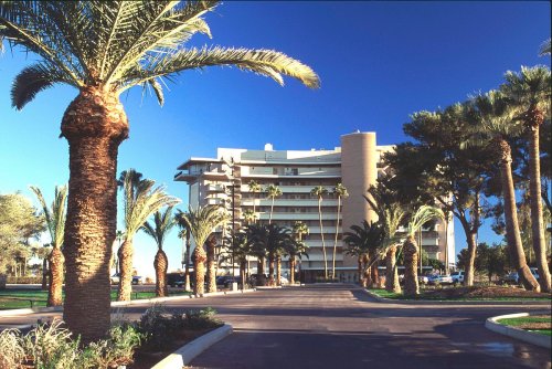 A modern building surrounded by palm trees and greenery under a clear blue sky.