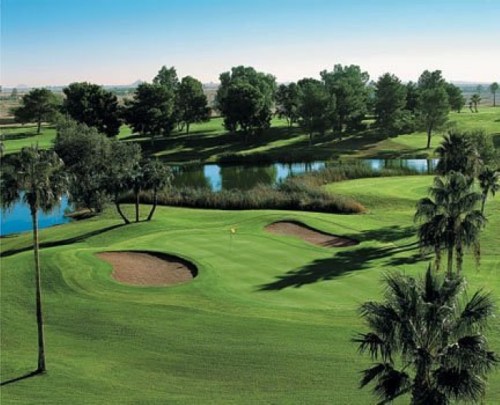 A scenic golf course with lush green grass, palm trees, and a tranquil pond under a clear blue sky.