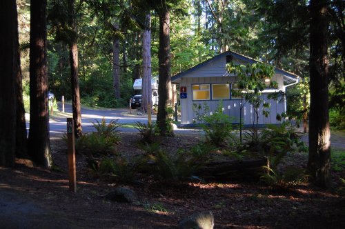 A small cabin surrounded by tall trees, with a road and parked vehicles in the background. Sunlight filters through the leaves.