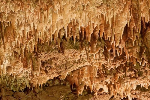 Stalactites and stalagmites hang from a cave ceiling, showcasing intricate formations in earthy tones.
