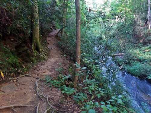 A winding dirt path alongside a stream, surrounded by lush green trees and foliage in a serene forest setting.